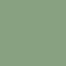 RAL6021 - Vert pâle Structuré